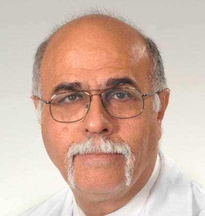 Mahmoud Daftary